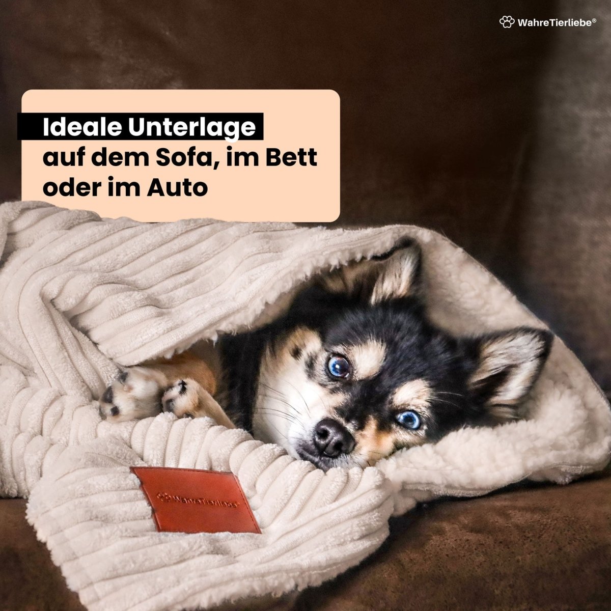 Superzachte Hondendeken voor Auto en Bank - Wasbaar, Stressverlagend Deken - Hebbr