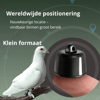 Tracker voor Hond Mini 2,7 g Bluetooth – Vindbaar met FindTag App - Hebbr