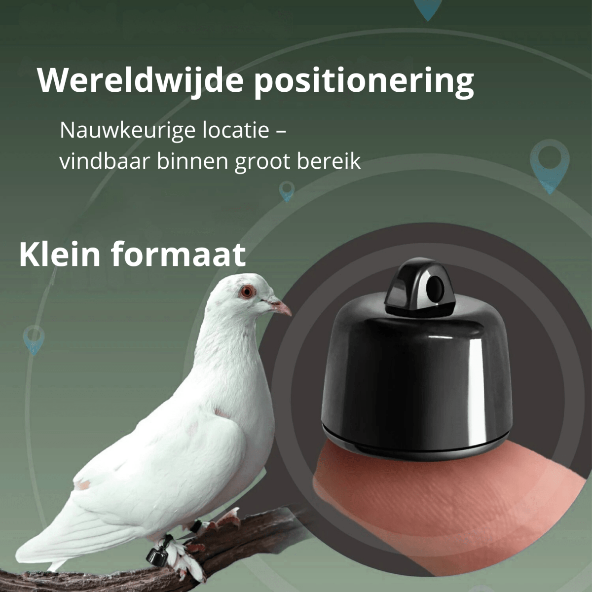 Tracker voor Hond Mini 2,7 g Bluetooth – Vindbaar met FindTag App - Hebbr