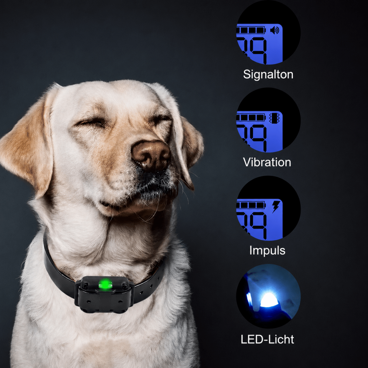 Trainingshalsband | Afstandsbediening, Waterdicht, Instelbare Stimulatie - Hebbr