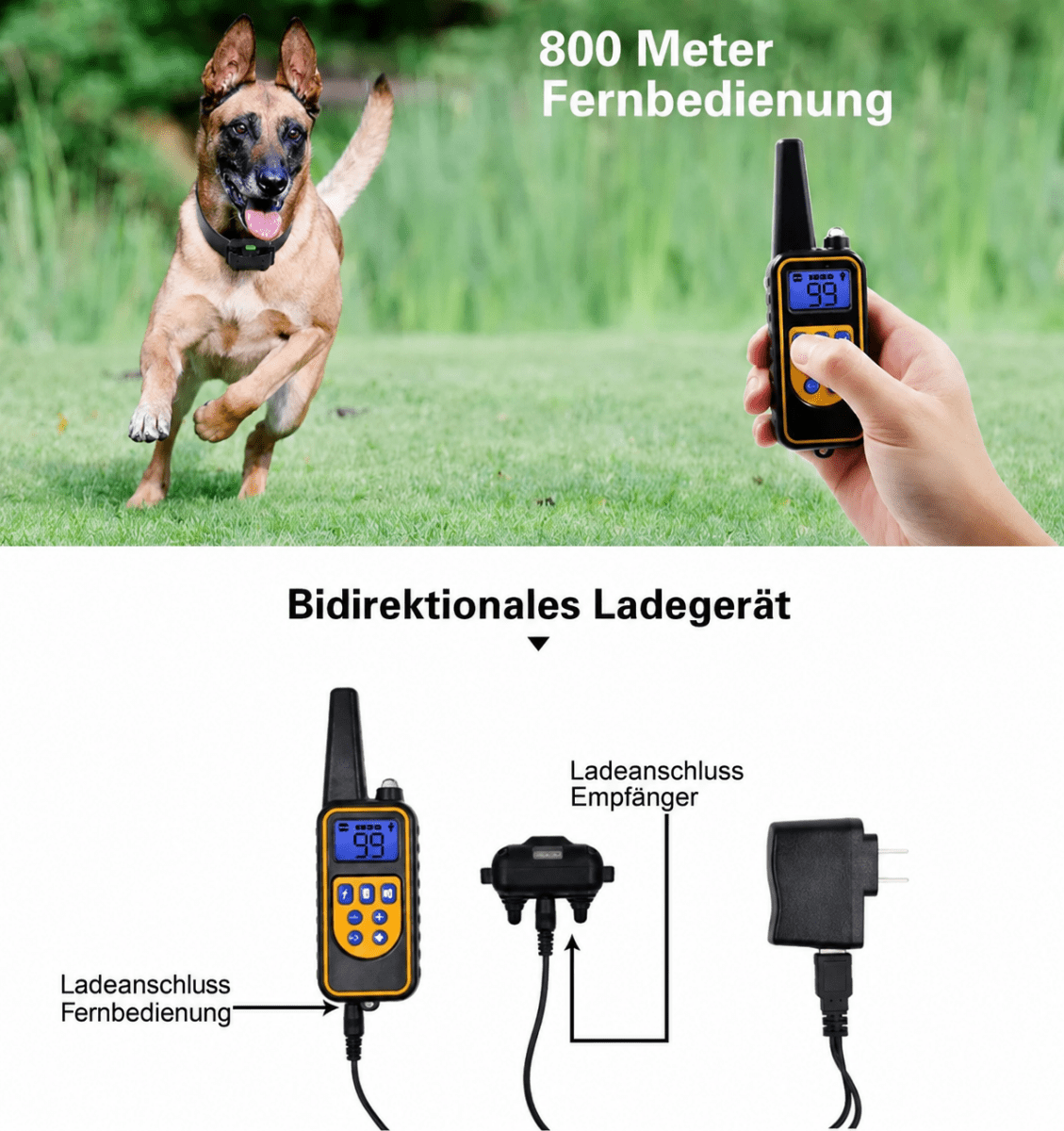 Trainingshalsband | Afstandsbediening, Waterdicht, Instelbare Stimulatie - Hebbr