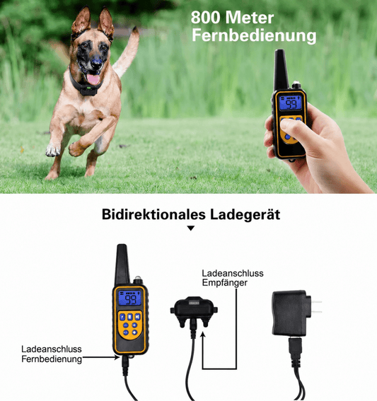 Trainingshalsband | Afstandsbediening, Waterdicht, Instelbare Stimulatie - Hebbr