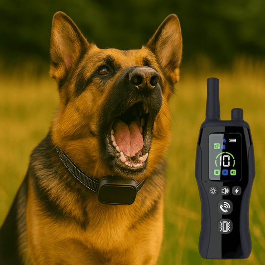 Trainingshalsband voor Honden - Hebbr