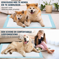 Nederlandse gebruiksuitleg voor de absorberende trainingspad - Hebbr