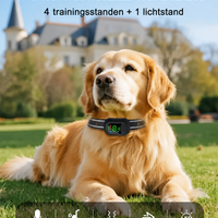 Nederlandse uitleg van de vijf standen van de Harko trainingshalsband - Hebbr