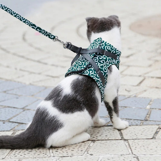 Verstelbaar Kattentuigje voor Buiten - Ademend en Licht Gewichtsontwerp voor Comfortabele Wandelingen - Hebbr