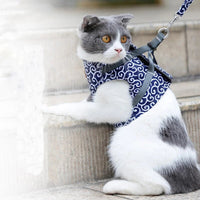 Verstelbaar Kattentuigje voor Buiten - Ademend en Licht Gewichtsontwerp voor Comfortabele Wandelingen - Hebbr