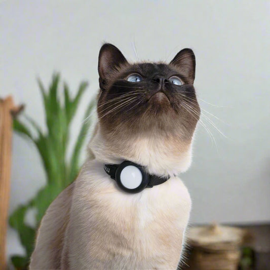 Verstelbare Kattenhalsband met AirTag Locatietracking - Weerbestendig en Reflecterend, 22 - 32 cm - Hebbr