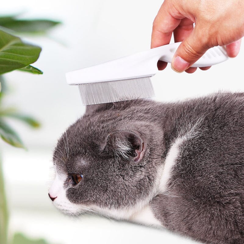Verzorgingsborstel voor Honden en Katten - Lichtgewicht, Afgeronde Pennen voor Klitten en Vuil - Hebbr