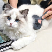 Verzorgingsborstel voor Katten en Honden - Zelfreinigend, Zachte Borstelwerking, Vermindert Losse Haren - Hebbr