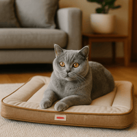 Vierseizoenen kattenbed van katoen, ademend en opvouwbaar - Comfortabel ligbed voor katten en kittens - Hebbr