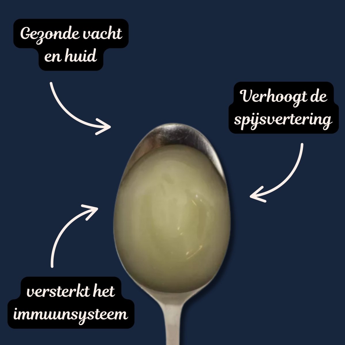 Voedingssuplementen - voor een gezondhuisdier - Hebbr