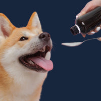 Voedingssuplementen - voor een gezondhuisdier - Hebbr