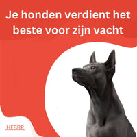 Voedingssuplementen - voor een gezondhuisdier - Hebbr
