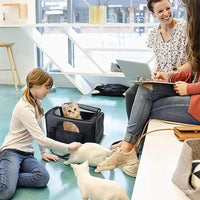 Vouwbare Draagtas voor Huisdieren - Ademend Nylon Oxford, Zwart en Paars, Geschikt voor Katten en Kleine Honden - Hebbr