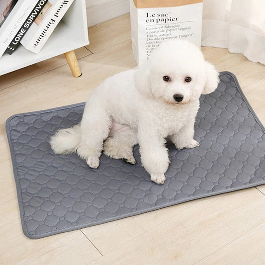 Wasbare Hondenurine Mat, Vierlaagse Waterdichte Training Pad met Anti - Slip Onderkant - Diverse Maten - Hebbr