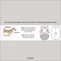 Waterafstotende Hondenjas - Hebbr