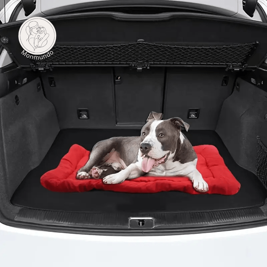 Waterbestendige Hondenmat – Opvouwbaar, Antislip & Comfortabel voor Avonturen - Hebbr