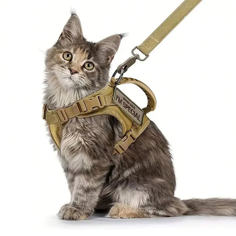 Waterdicht Kattenharnas voor Buiten, Verstelbaar Vest voor Wandelende Katten - Comfortabel en Veilig - Hebbr