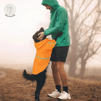 Waterdichte Honden Regenjas – Reflecterend, Comfortabel en Verstelbaar - Hebbr