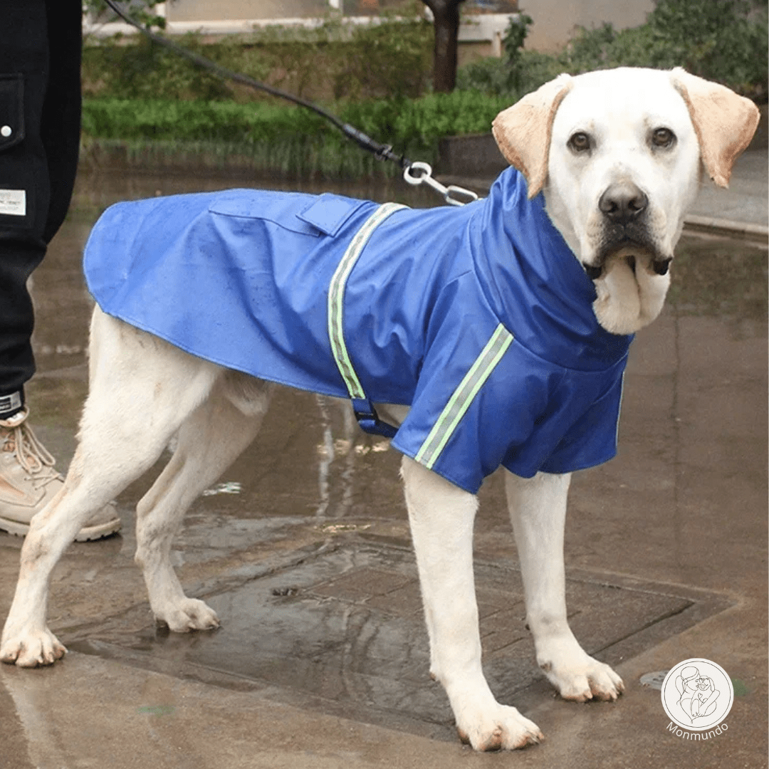 Waterdichte Honden Regenjas – Reflecterend, Comfortabel en Verstelbaar - Hebbr