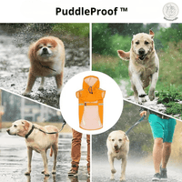 Waterdichte Honden Regenjas – Reflecterend, Comfortabel en Verstelbaar - Hebbr