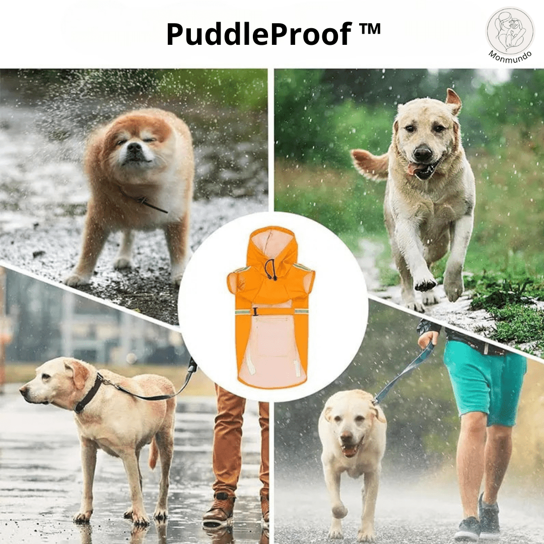 Waterdichte Honden Regenjas – Reflecterend, Comfortabel en Verstelbaar - Hebbr
