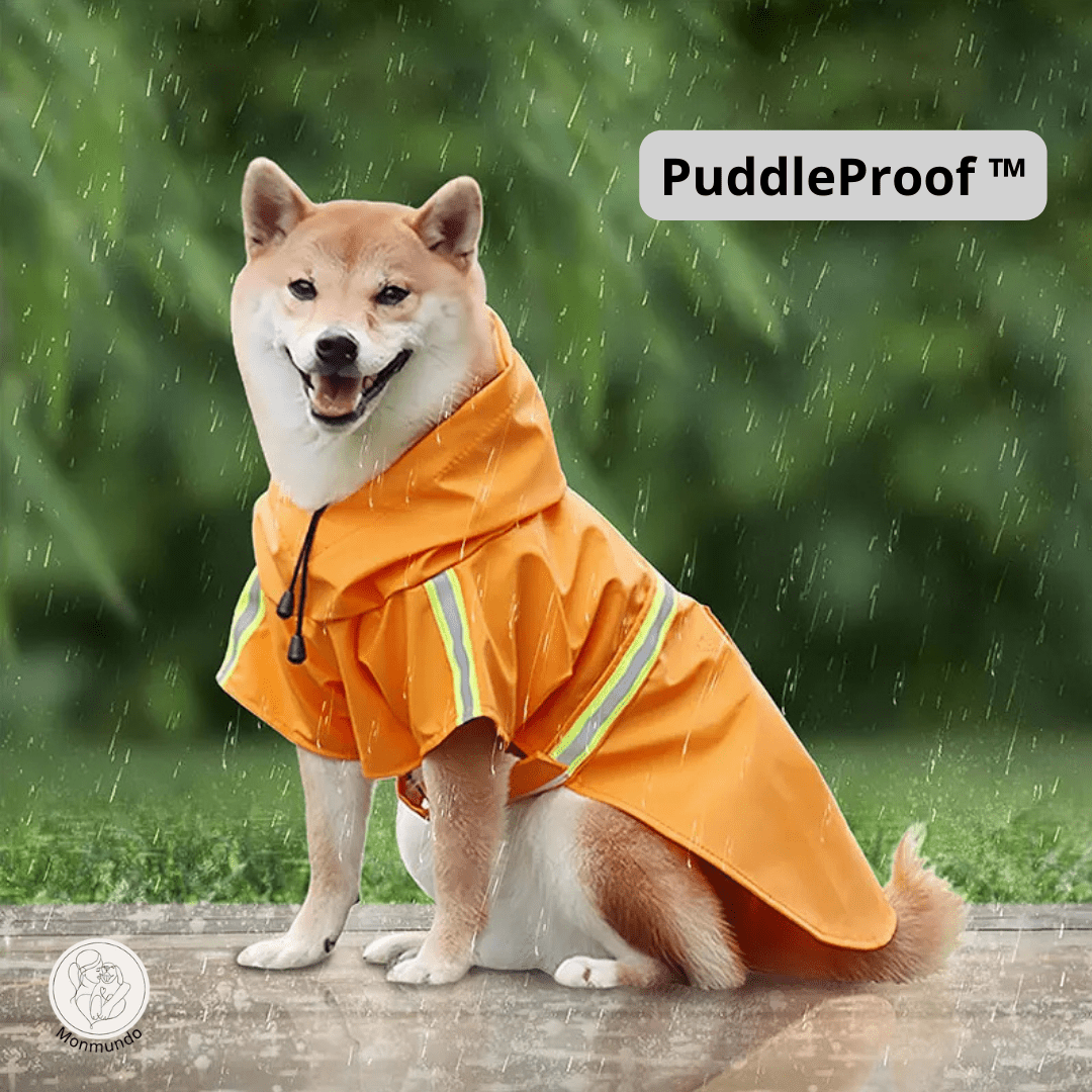 Waterdichte Honden Regenjas – Reflecterend, Comfortabel en Verstelbaar - Hebbr