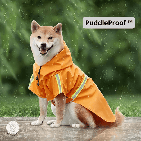 Waterdichte Honden Regenjas – Reflecterend, Comfortabel en Verstelbaar - Hebbr