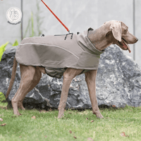 Waterdichte Hondenjas voor Winter – Warm, Reflecterend en Flexibele Pasvorm - Hebbr