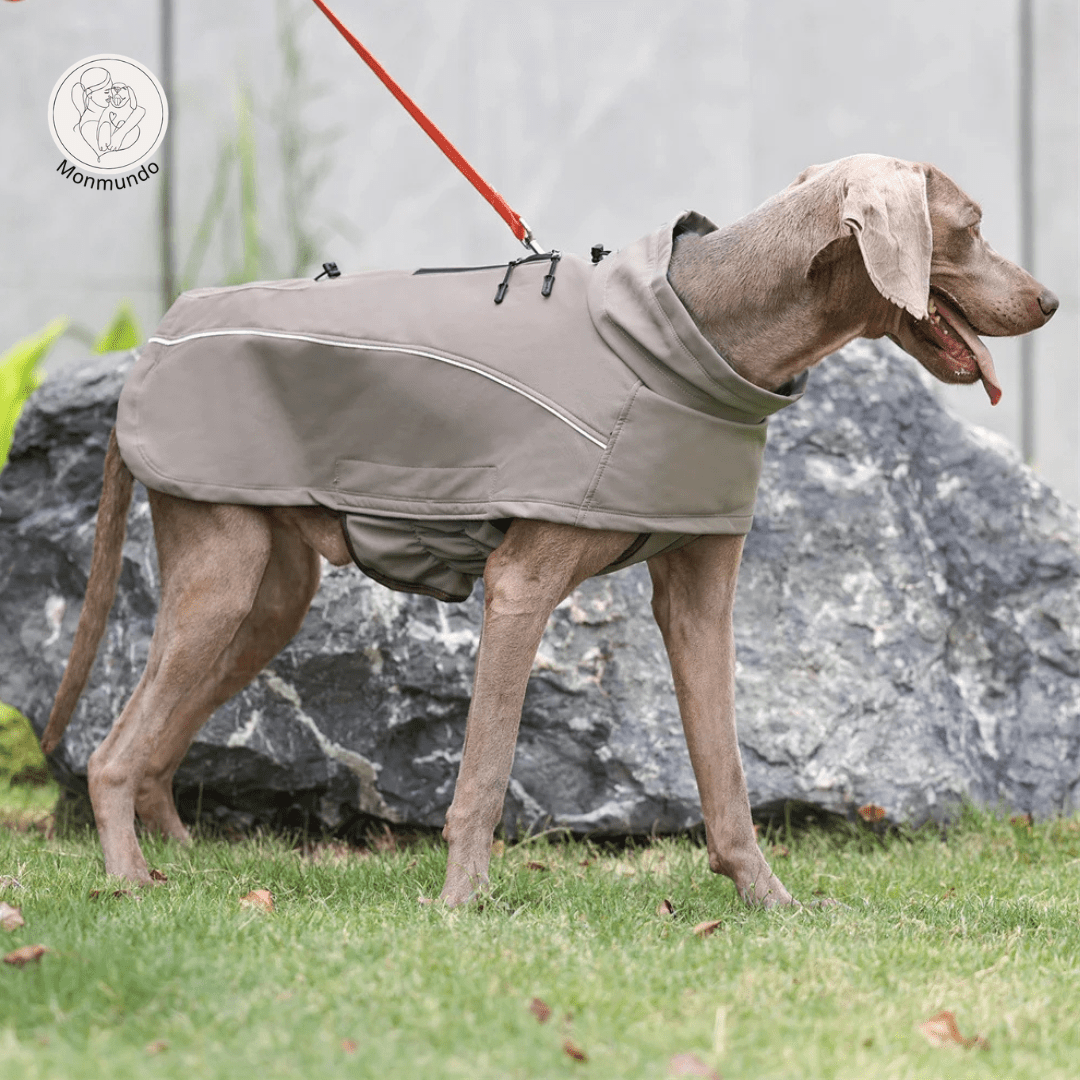 Waterdichte Hondenjas voor Winter – Warm, Reflecterend en Flexibele Pasvorm - Hebbr