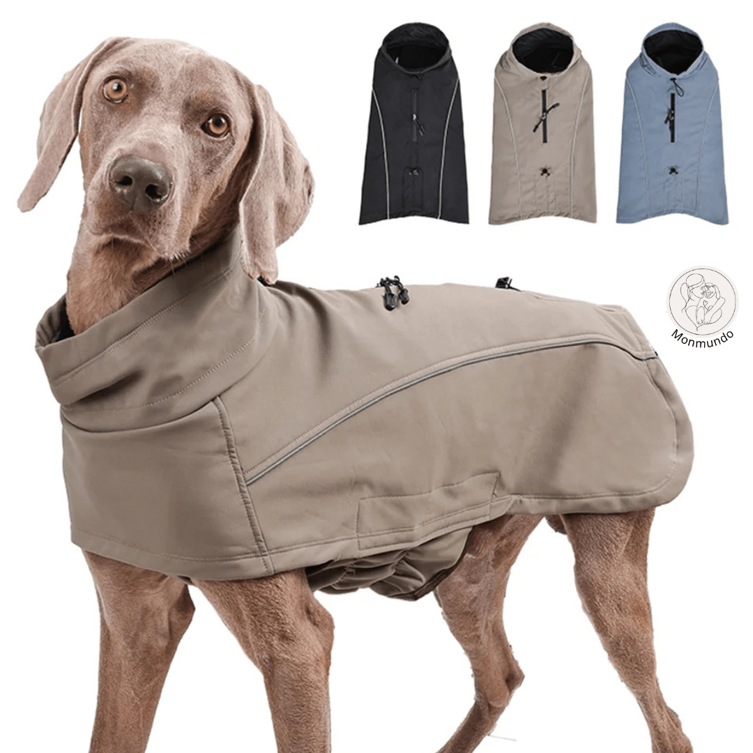 Waterdichte Hondenjas voor Winter – Warm, Reflecterend en Flexibele Pasvorm - Hebbr