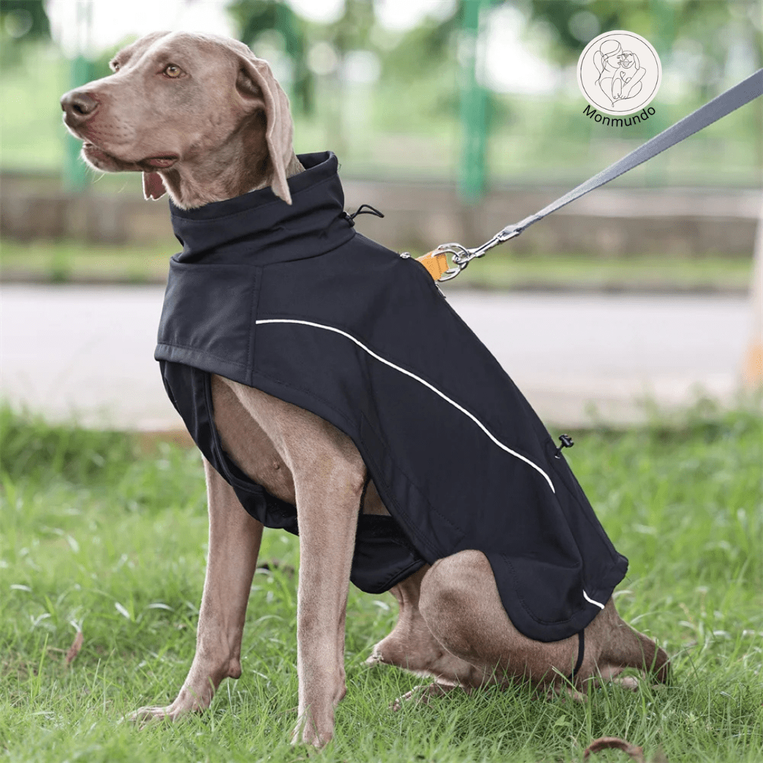 Waterdichte Hondenjas voor Winter – Warm, Reflecterend en Flexibele Pasvorm - Hebbr