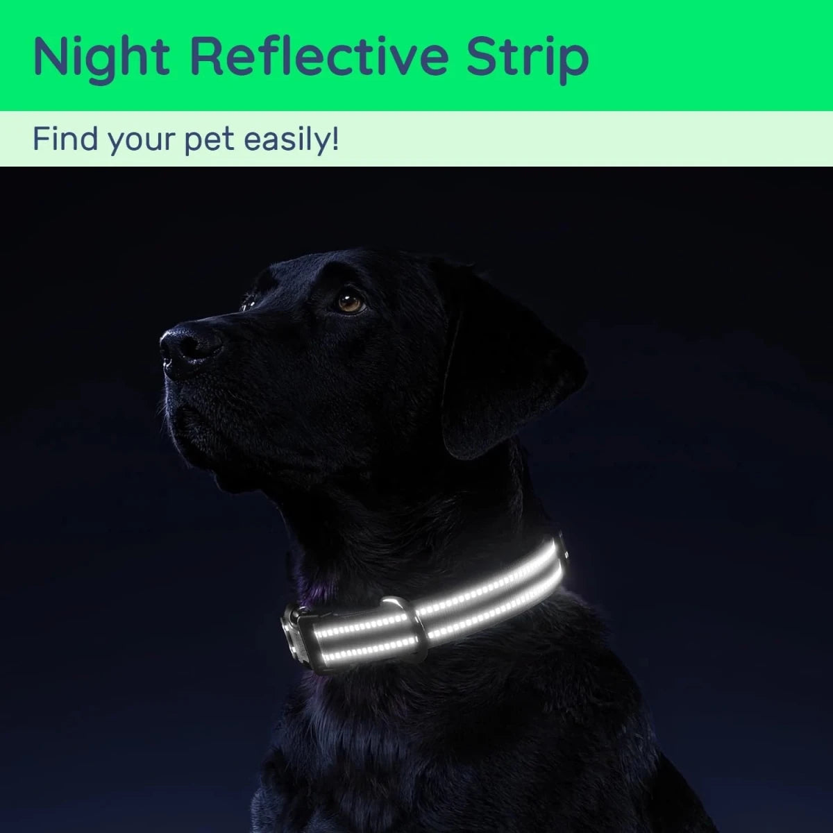 Wavi Hondenhalsband | Waterdicht, Reflecterend met QR-code - Hebbr