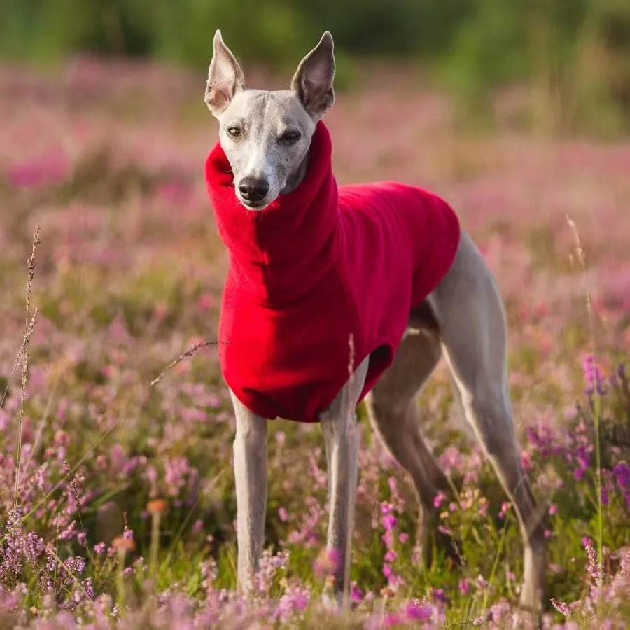 Whippet Hondenkleding Fleece Turtleneck – Warm en Comfortabel - Hebbr