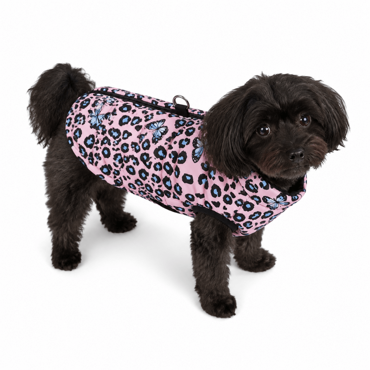 Winta Hondenjas | Waterdicht, Luipaardprint voor Kleine Honden en Katten - Hebbr
