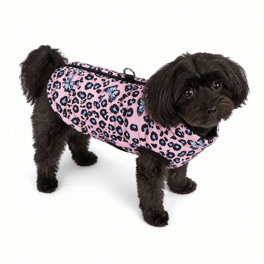 Winta Hondenjas | Waterdicht, Luipaardprint voor Kleine Honden en Katten - Hebbr