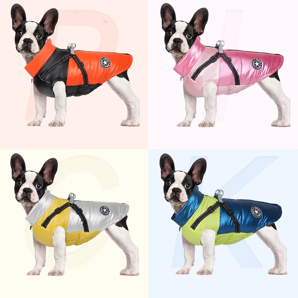Winto Hondenjas | Waterdicht, Warm Katoen voor Kleine en Grote Honden - Hebbr