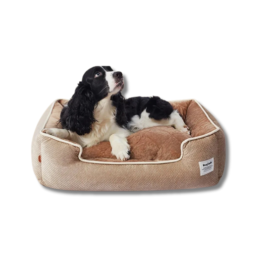 Zacht Hondenbed met Antislip Bodem, Wasbaar Fleece Bed voor Grote Honden en Katten - Comfortabel en Duurzaam - Hebbr