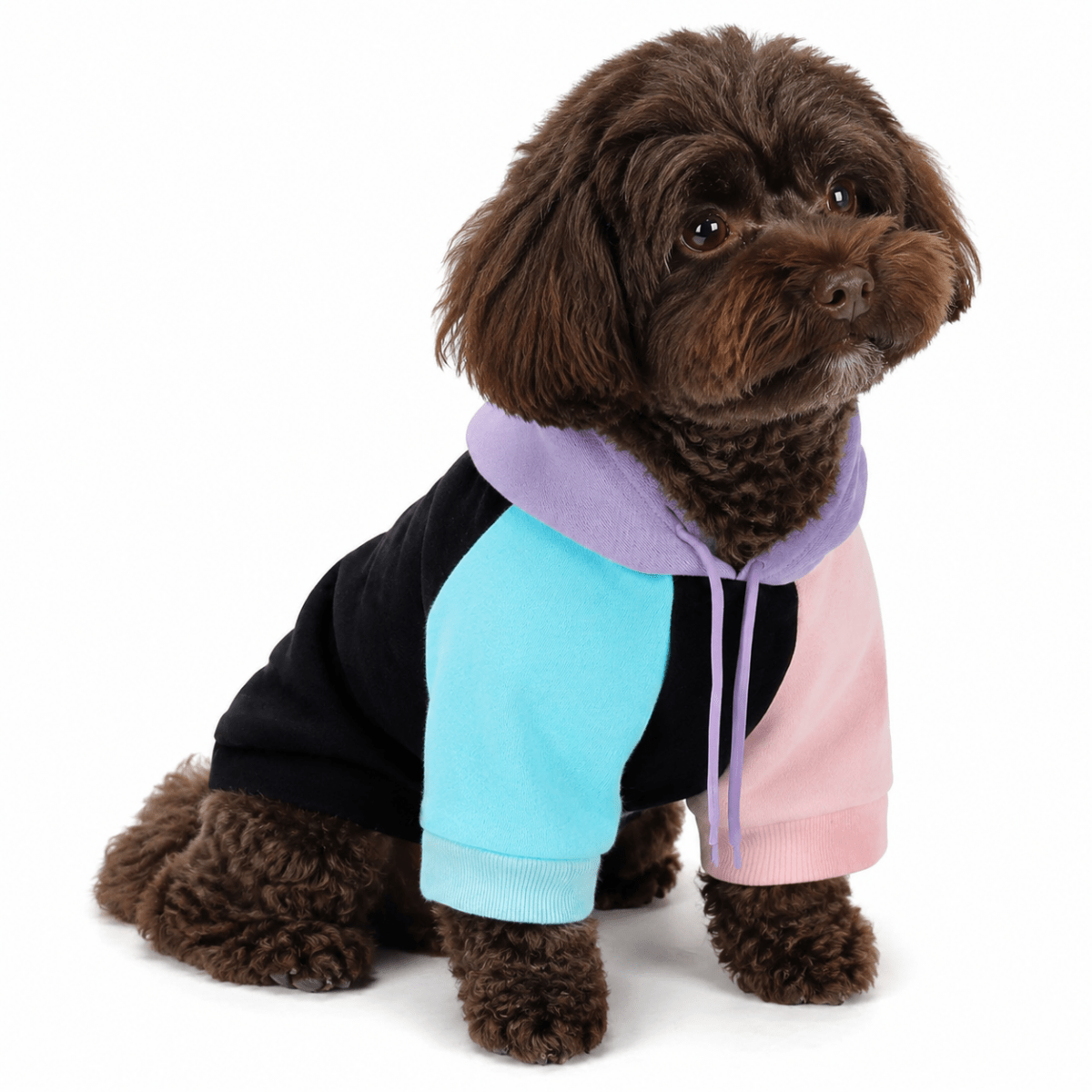 Zachte Honden Hoodie - Hebbr